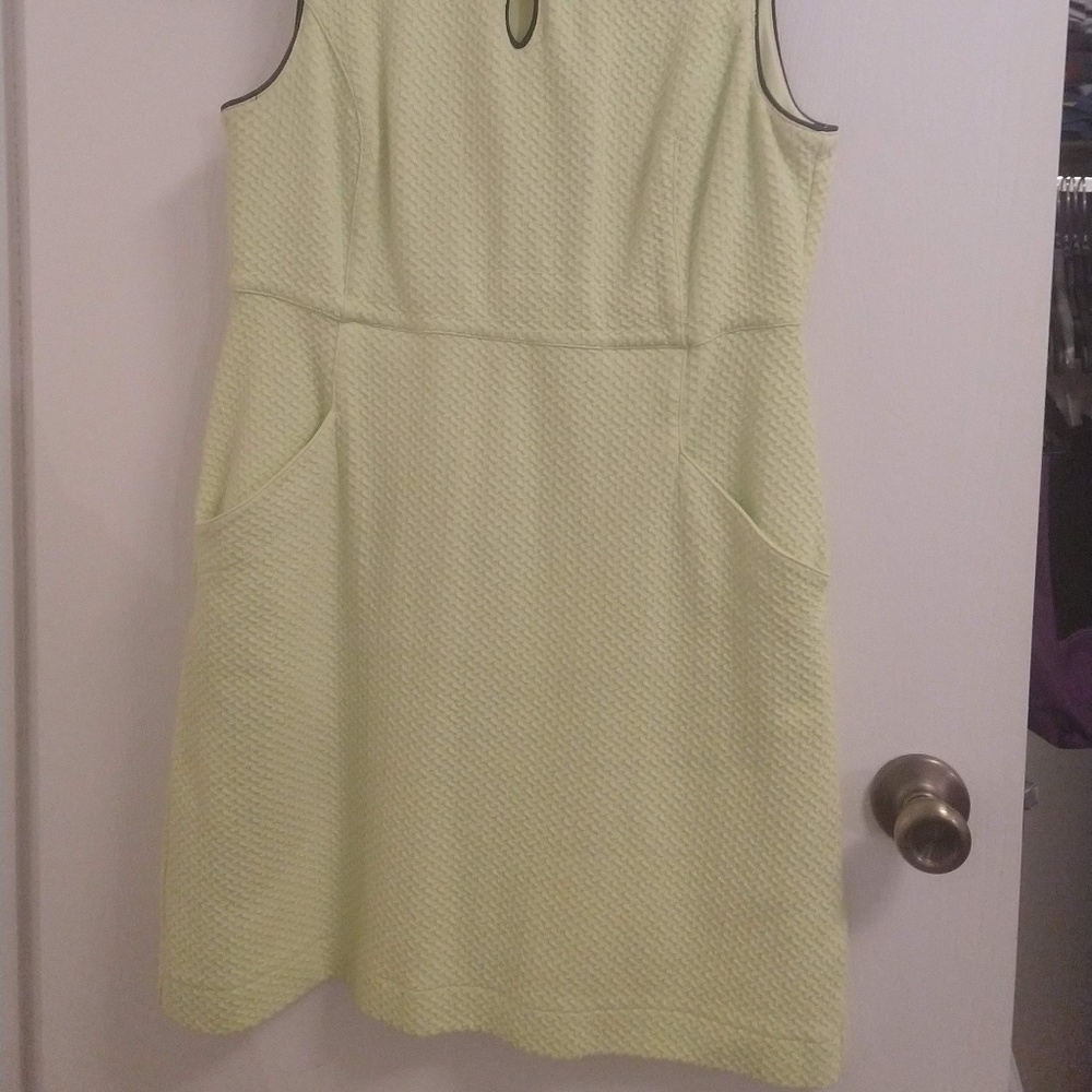 Petite Dress in Women